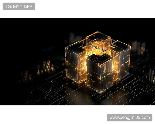 多样化的PA视讯入口入口渠道,满足不同用户的多样需求 多样化的PA视讯入口入口渠道,满足不同用户的多样需求