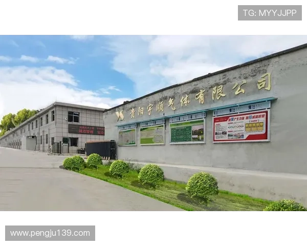 AG真人公司简介：从成立到如今的市场布局及用户信赖的原因分析